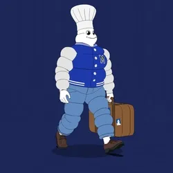 Michelin 3xplorer #459