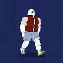 Michelin 3xplorer #888