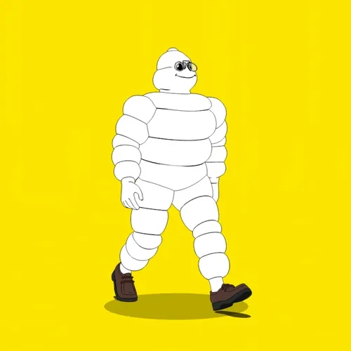 Michelin 3xplorer #1745