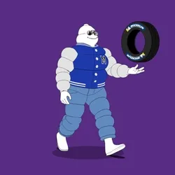 Michelin 3xplorer #24