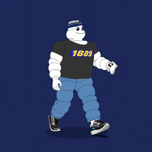 Michelin 3xplorer #438