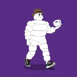 Michelin 3xplorer #525