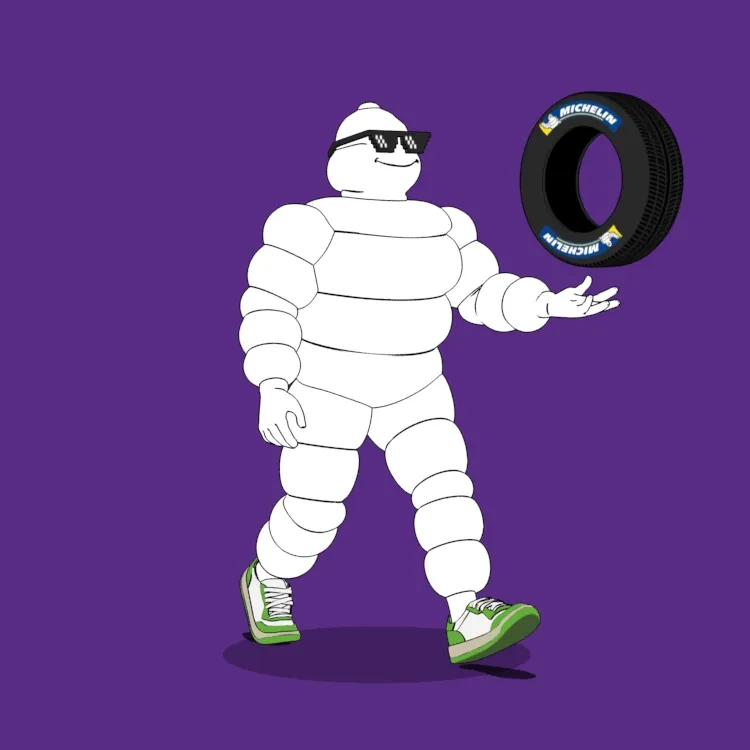 Michelin 3xplorer #2392