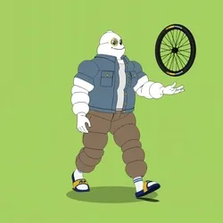 Michelin 3xplorer #1762