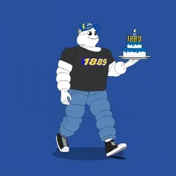 Michelin 3xplorer #436