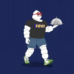 Michelin 3xplorer #886