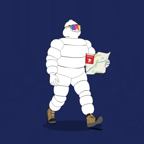 Michelin 3xplorer #20