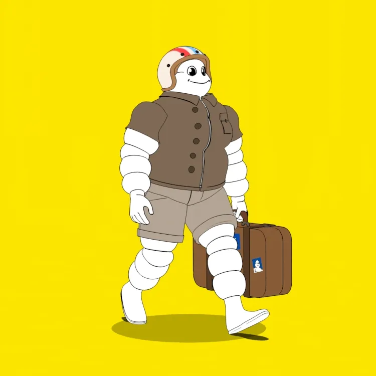 Michelin 3xplorer #2393