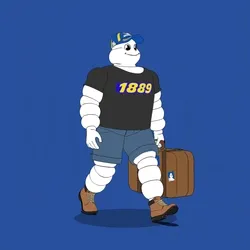 Michelin 3xplorer #1768