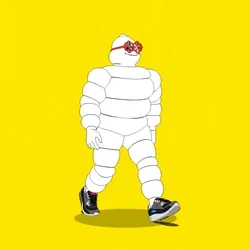 Michelin 3xplorer #1872