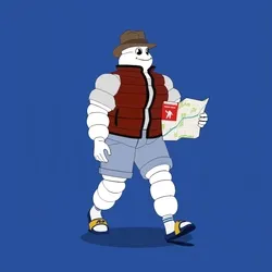 Michelin 3xplorer #2141