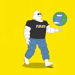 Michelin 3xplorer #1523
