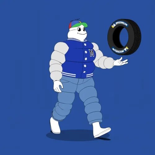 Michelin 3xplorer #2398