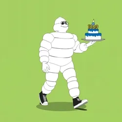 Michelin 3xplorer #267