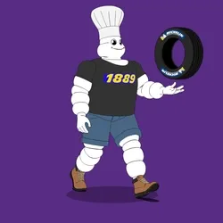Michelin 3xplorer #398