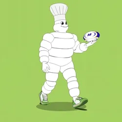 Michelin 3xplorer #992