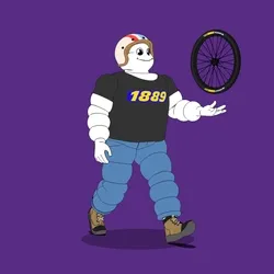 Michelin 3xplorer #833