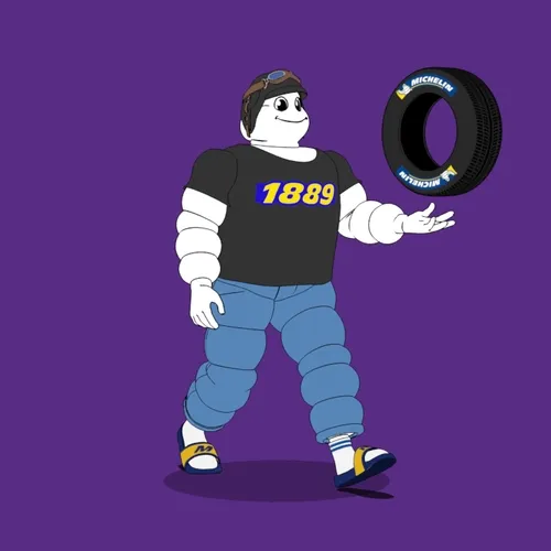 Michelin 3xplorer #597