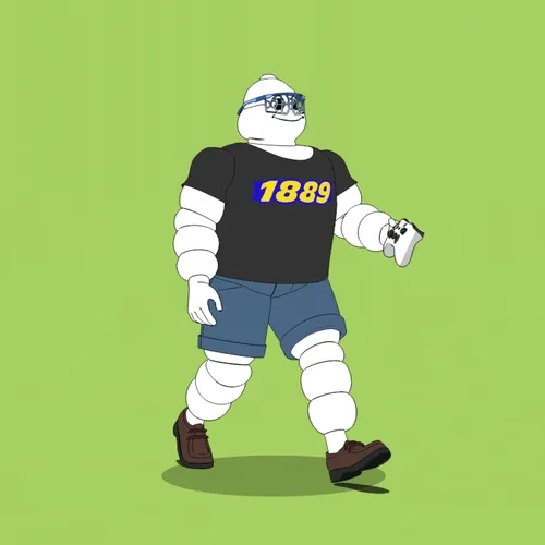 Michelin 3xplorer #1355