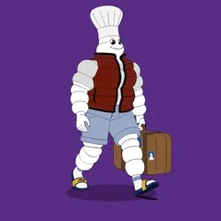Michelin 3xplorer #2281
