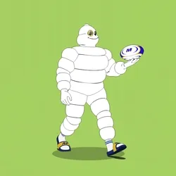 Michelin 3xplorer #166