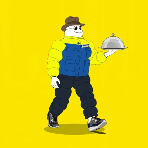 Michelin 3xplorer #519