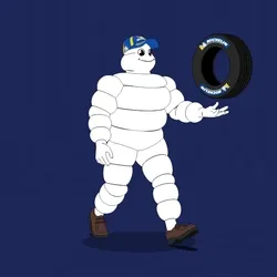 Michelin 3xplorer #856