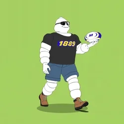 Michelin 3xplorer #716