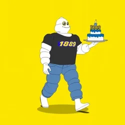 Michelin 3xplorer #383