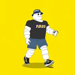 Michelin 3xplorer #2257