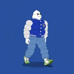 Michelin 3xplorer #1554