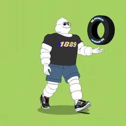 Michelin 3xplorer #967
