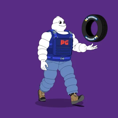 Michelin 3xplorer #245
