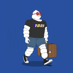 Michelin 3xplorer #2282