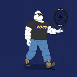 Michelin 3xplorer #1038