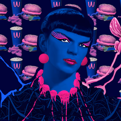 Indigo X Stellabelle