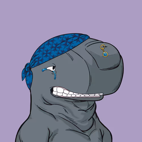 Secretsocietyofwhales
