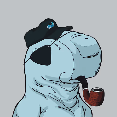 Secretsocietyofwhales