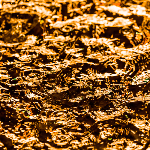 Drip Drop By Dave Krugman
