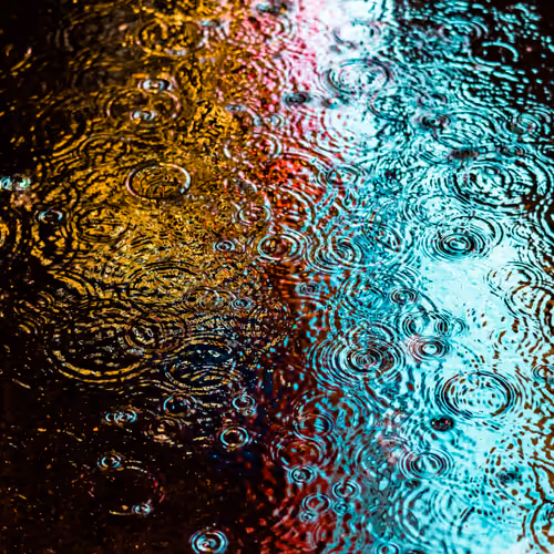 DRIP #482