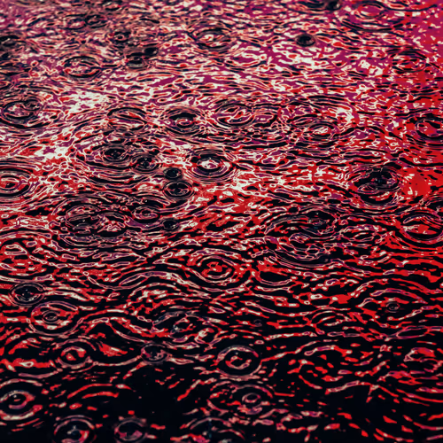 Drip Drop By Dave Krugman