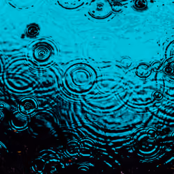 DRIP #170