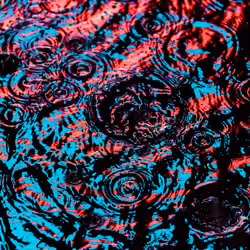 DRIP #537