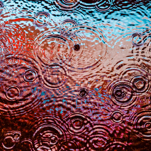 Drip Drop By Dave Krugman