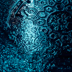 DRIP #477