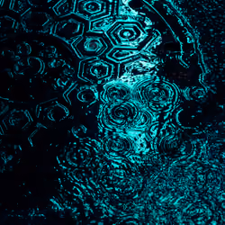 DRIP #1: REFRACTION