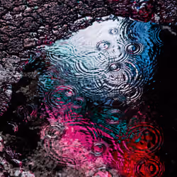 DRIP #259
