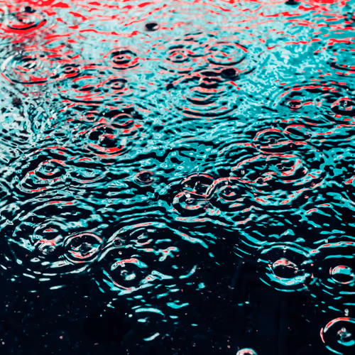 Drip Drop By Dave Krugman