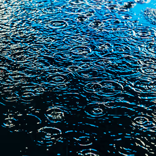 Drip Drop By Dave Krugman