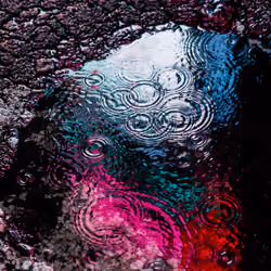 DRIP #83